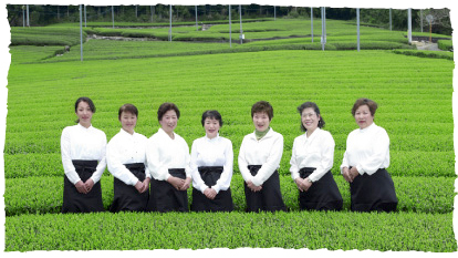 仁淀川町・茶農家の女性有志